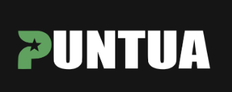 WEB PUNTUA TU CURSO